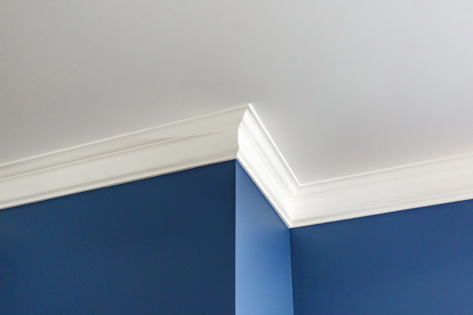 svc3 interior painting primary